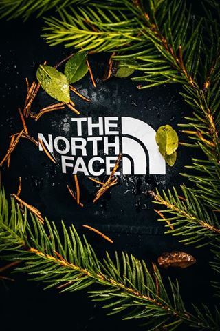 Opdag fordelene ved the north face
